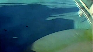 Jersey Jaxin, teen fuck hole, takes deepthroat and rides in sexy lingerie