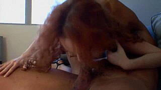 红发熟女命运18+波特在高跟鞋中吸大鸡巴