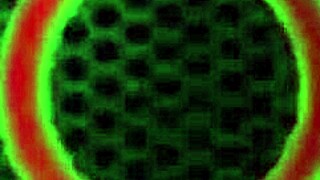 Natalia Starr drills her tight pussy with glass dildo!